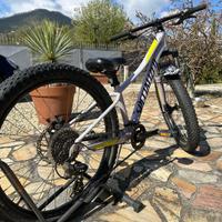 Mtb Specialized