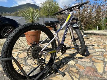 Mtb Specialized