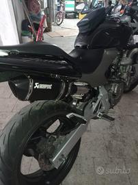 Honda Hornet
