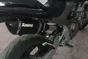 Honda Hornet