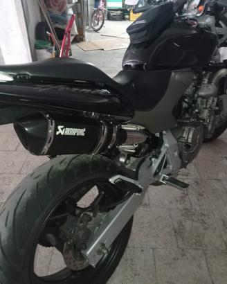 Honda Hornet