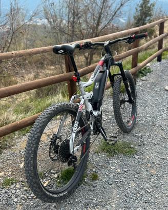 Bicicletta ebyke
