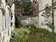 Immagine 14