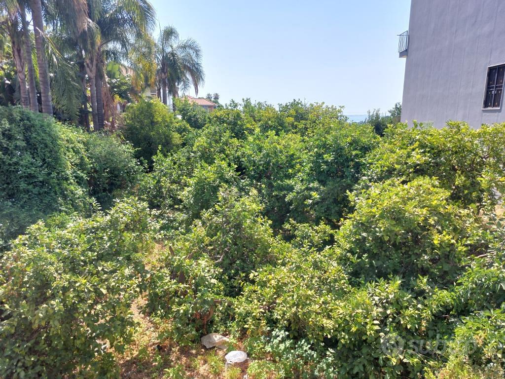 SCILLICHENTI: TERRENO EDIFICABILE ZONA B2 DI 650MQ - Vista 5