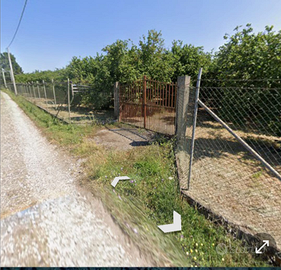 Noccioleto a Vasanello