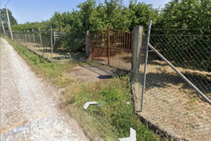 Noccioleto a Vasanello