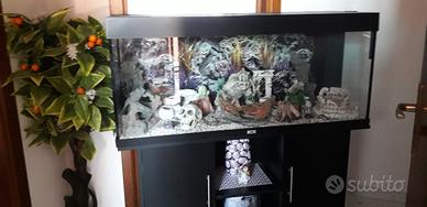acquario 240 litri