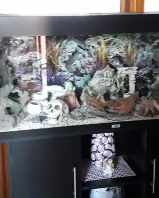 acquario 240 litri