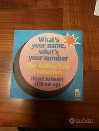 vinile 45 giri THE ANDREA TRUE CONNECTION 