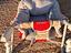 Immagine 2