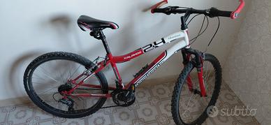 Bicicletta mountain bike Lombardo