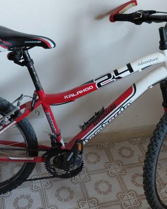 Bicicletta mountain bike Lombardo