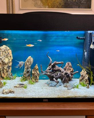 Acquario Juwel Rio 125