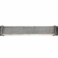 INTERCOOLER MERCEDES CLASSE A «W169» (2005)