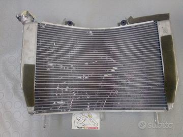 YAMAHA RADIATORE R6 USATO 2018