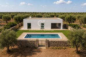 Terreno agricolo - Ostuni