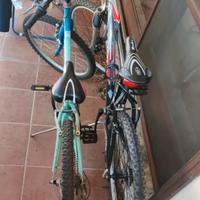 biciclette da 24 e 26