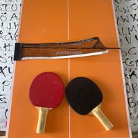 Tavolo Ping pong
