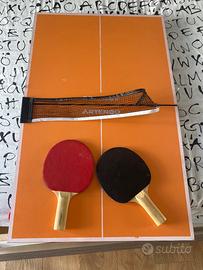 Tavolo Ping pong