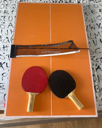 Tavolo Ping pong