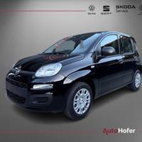 FIAT Panda 1.0 FireFly S&S Hybrid Radio Clima 5P *