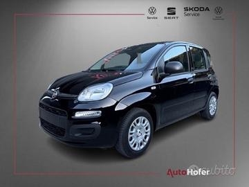 FIAT Panda 1.0 FireFly S&S Hybrid Radio Clima 5P *
