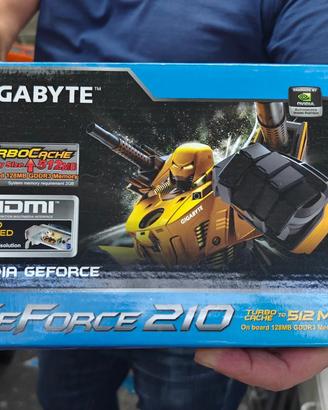 scheda video geforce