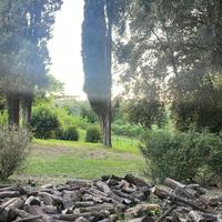 Legna da ardere ALLORO per camini o stufe