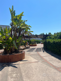 Apt. 549- Via Marina Victor Village