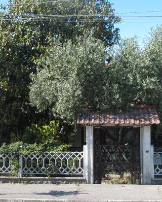 Begliano, casa accostata da ristrutturare