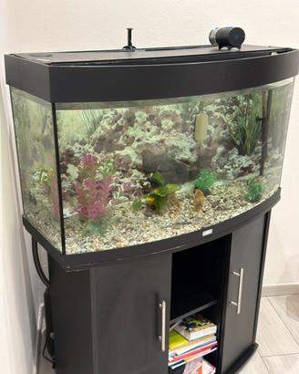 Acquario