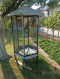 voliera esagonale con cocorite