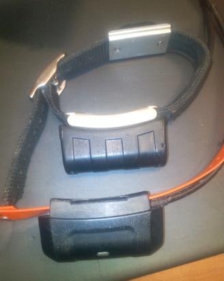 Garmin dc30 o dc40