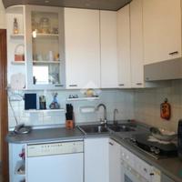  cucina gatto completa 