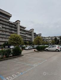 Appartamento in Parco Custodito