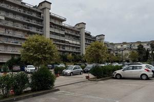 Appartamento in Parco Custodito