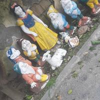 biancaneve e I sette nani  