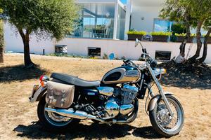 Triumph Thunderbird