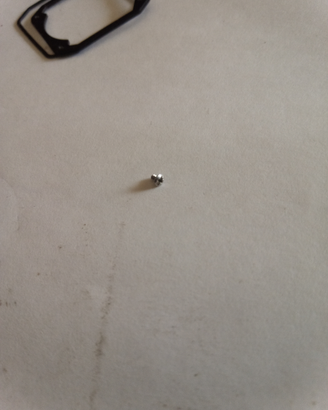 Viti chiusura fondello orologio