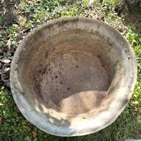 Vasca per giardinaggio