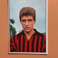 Figurina nuova Gianni Rivera Ac milan valida 65/66