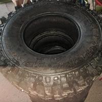 ziarelli ex forest 31 10,50  15