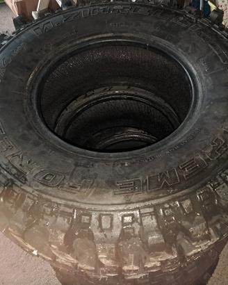 ziarelli ex forest 31 10,50  15