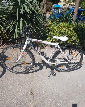 bicicletta 