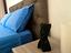 Immagine 2