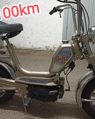Ciclo