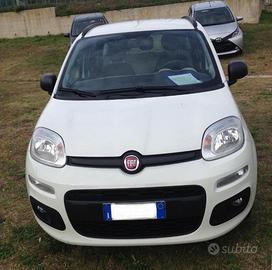 auto fiat panda