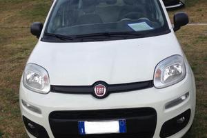auto fiat panda