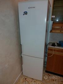 frigo