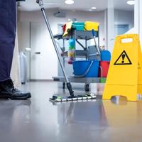 Colf Domestica Pulizie Stiro Compagnia Anziani